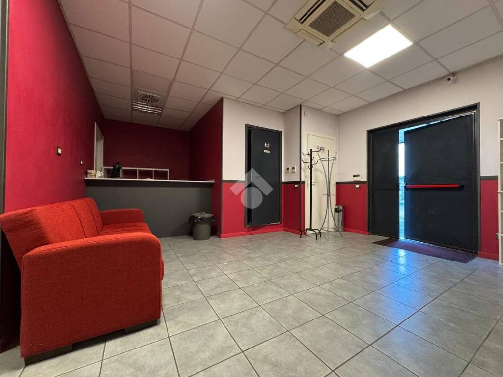 immagine annuncio 5 di 15