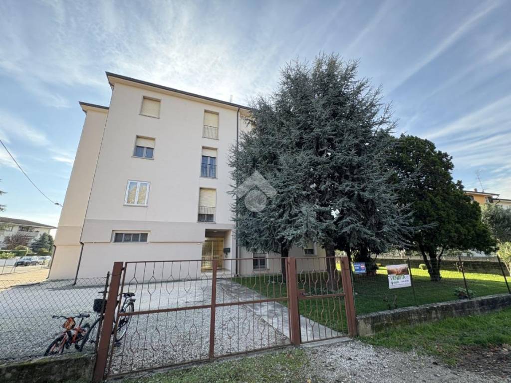 immagine annuncio 10 di 11