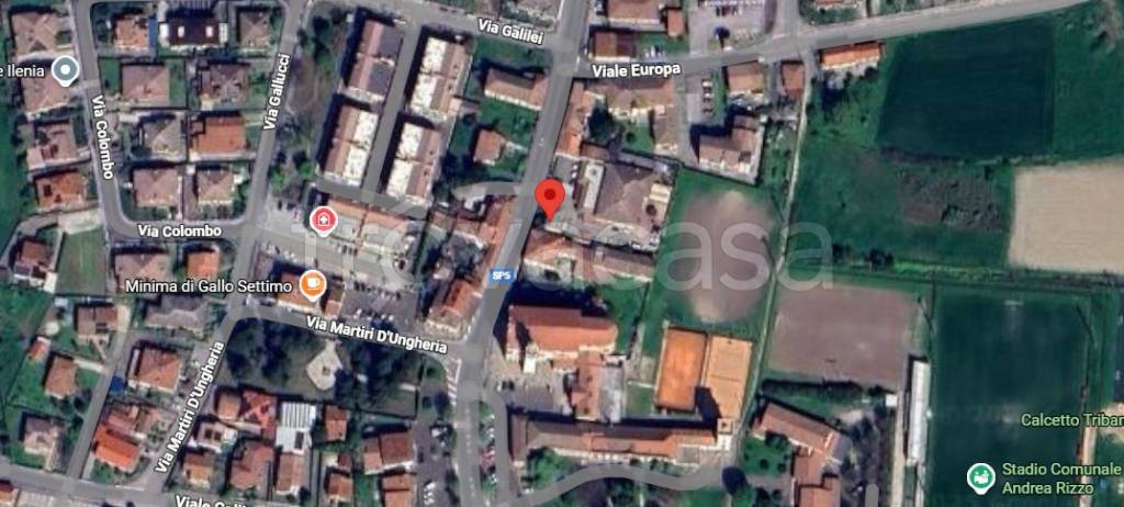 immagine annuncio 7 di 13