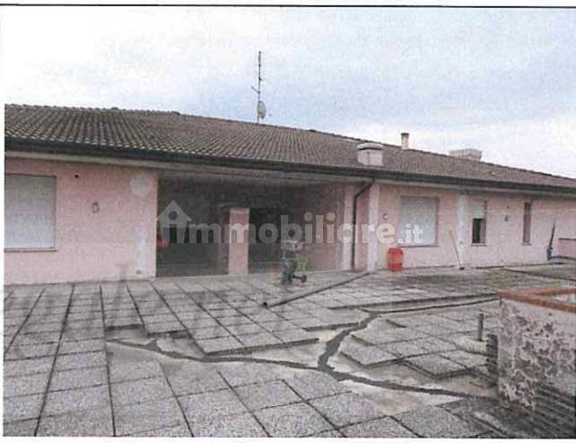 immagine annuncio 3 di 13