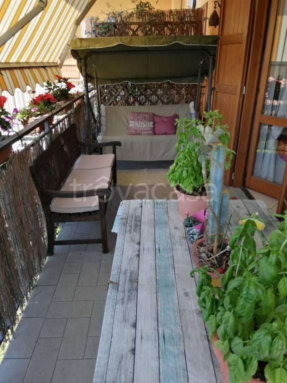 immagine annuncio 12 di 15