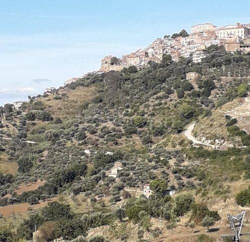 immagine annuncio 5 di 6