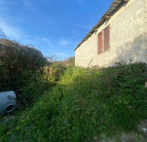 immagine annuncio 2 di 3