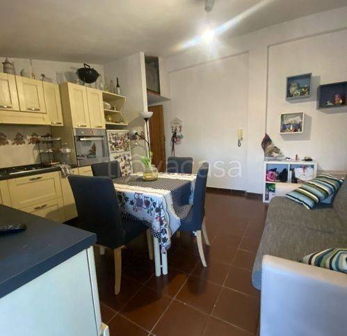 immagine annuncio 3 di 12