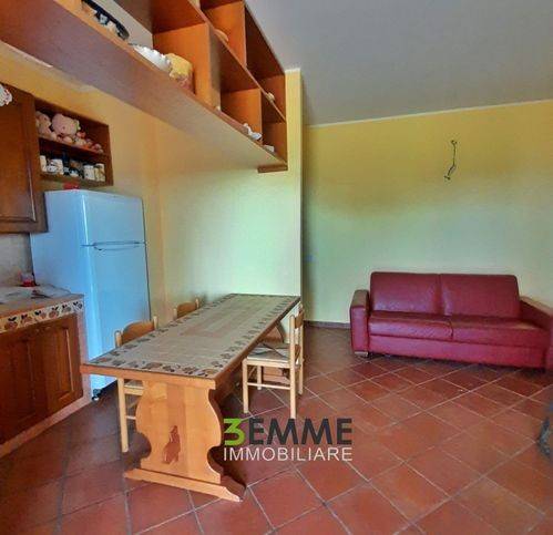 immagine annuncio 6 di 11