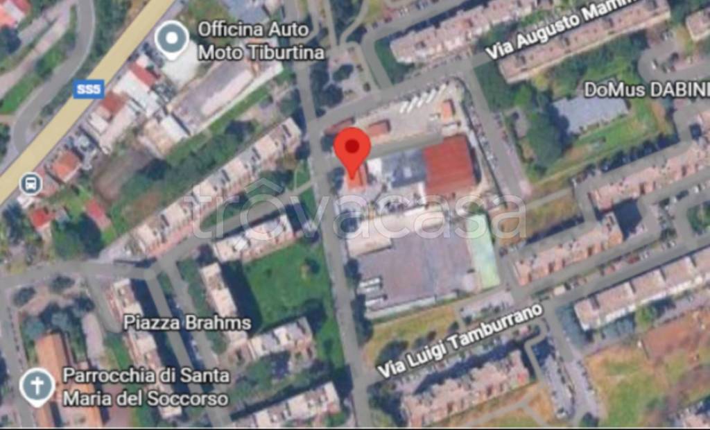 immagine annuncio 1 di 12