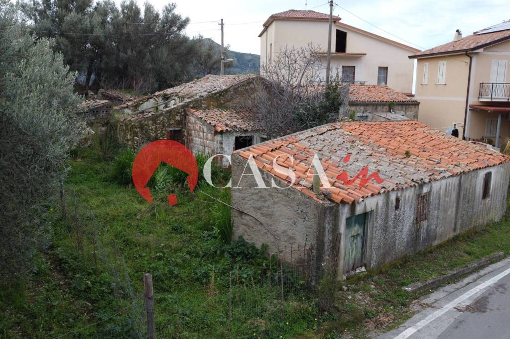 immagine annuncio 4 di 7