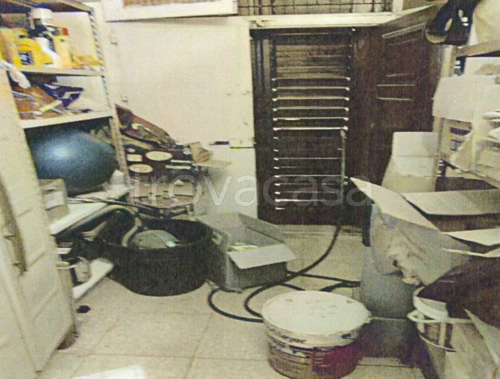 immagine annuncio 12 di 14