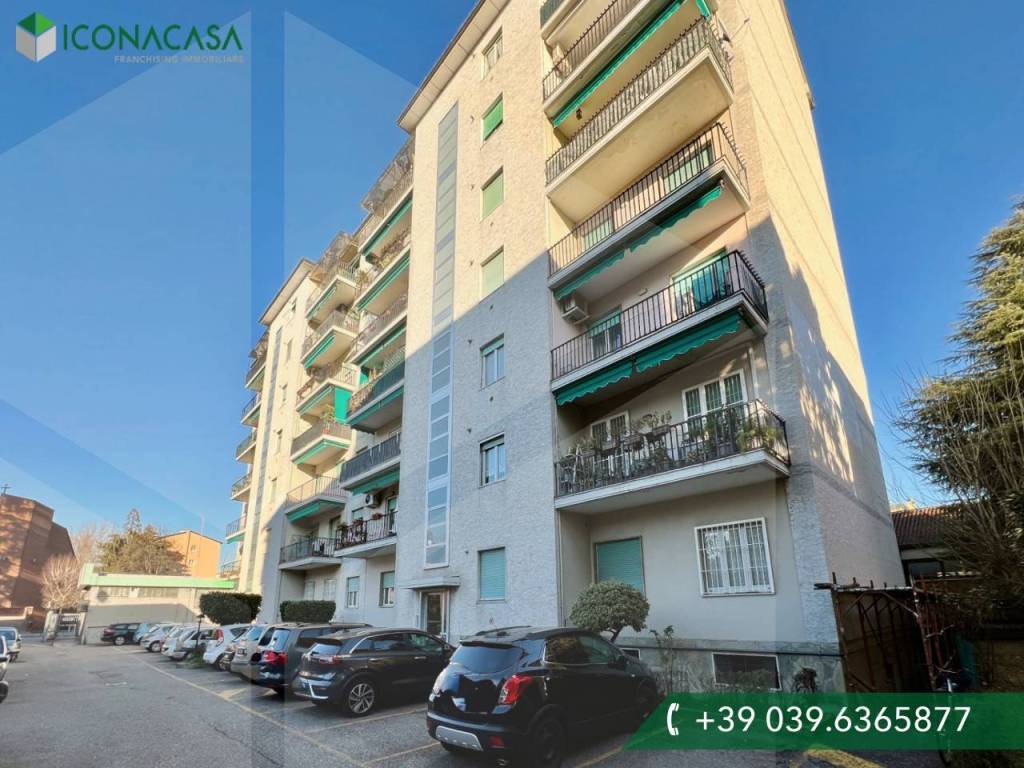 immagine annuncio 3 di 15