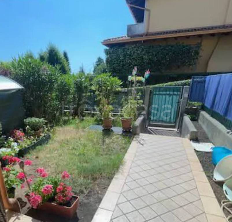 immagine annuncio 1 di 10