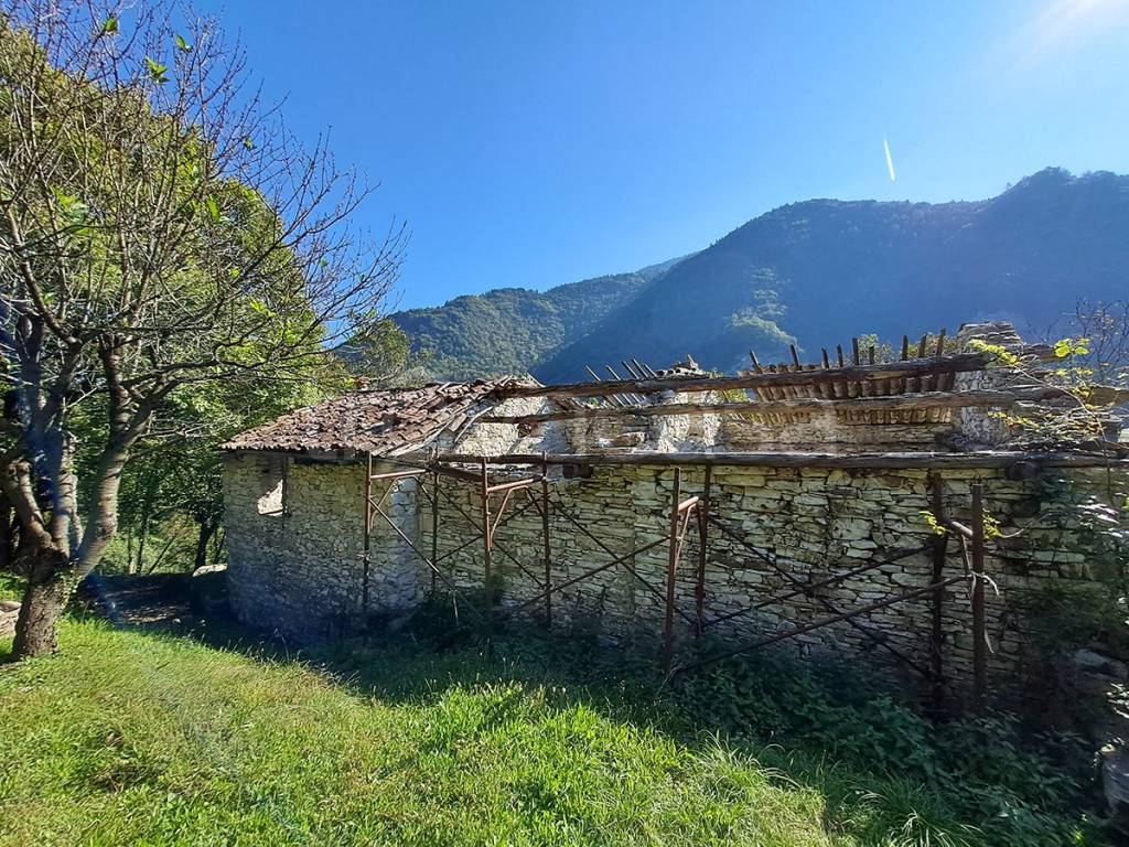 immagine annuncio 2 di 4