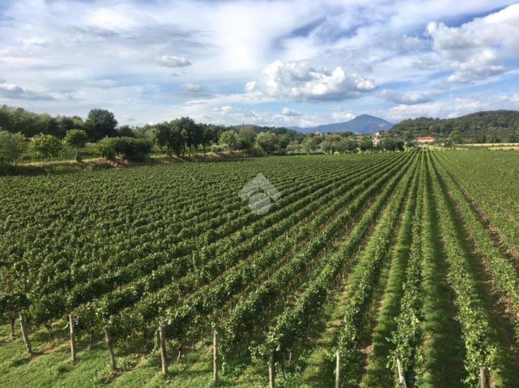 immagine annuncio 4 di 8