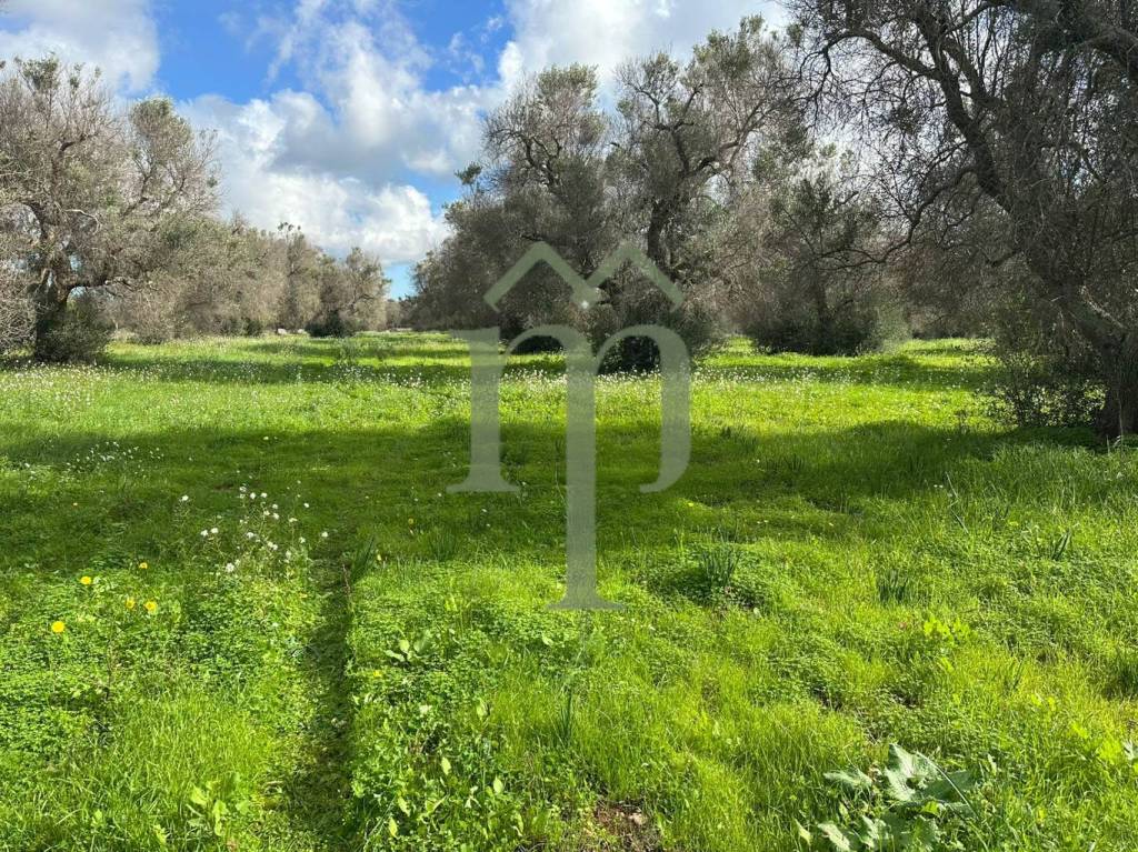 immagine annuncio 6 di 9