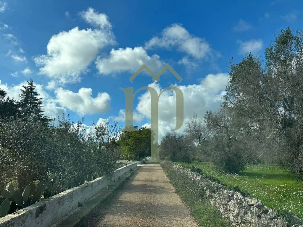 immagine annuncio 7 di 9