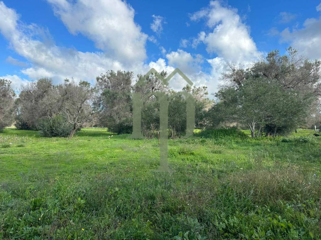 immagine annuncio 8 di 9