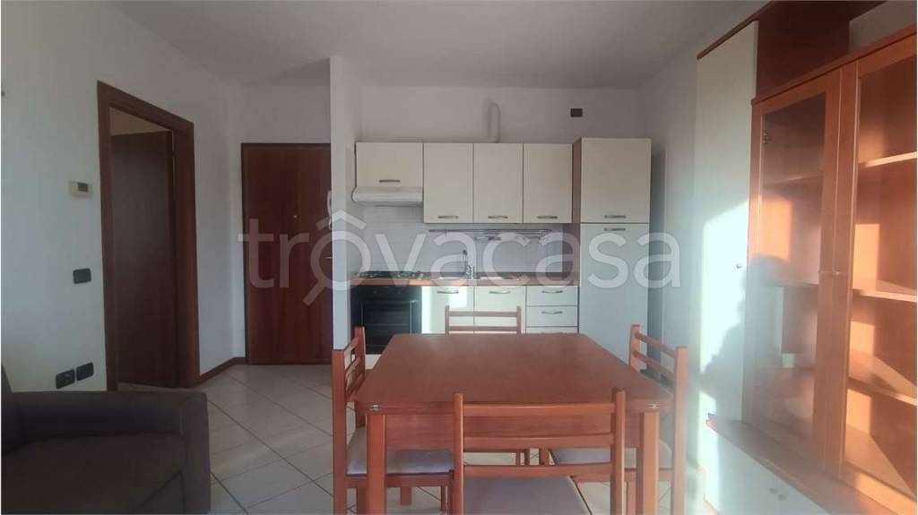 immagine annuncio 1 di 14