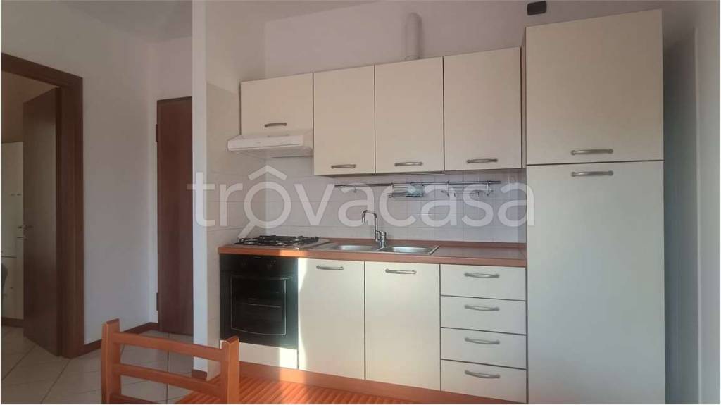 immagine annuncio 3 di 14