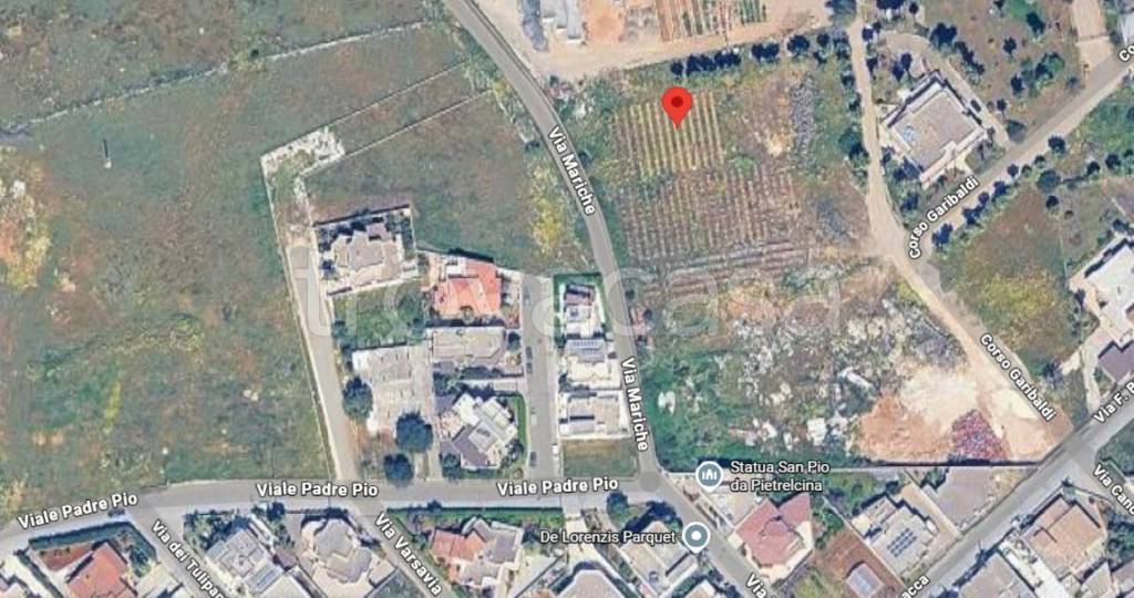 immagine annuncio 3 di 14