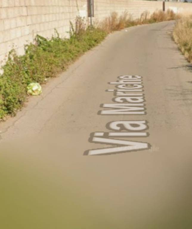 immagine annuncio 12 di 14