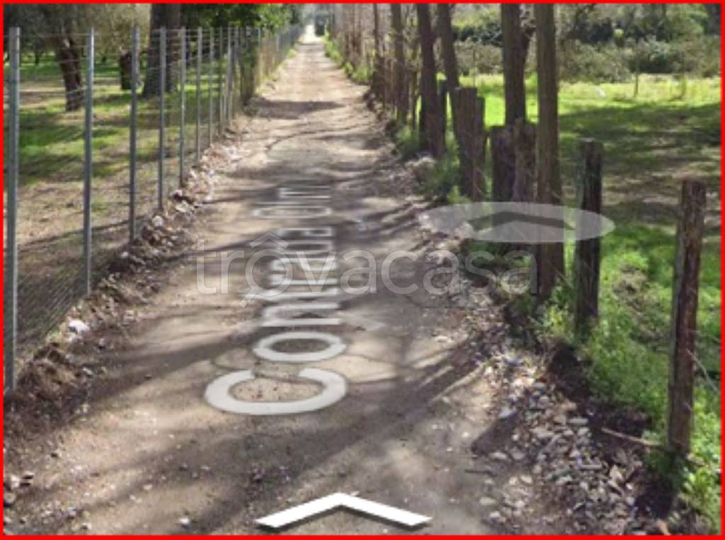 immagine annuncio 8 di 12