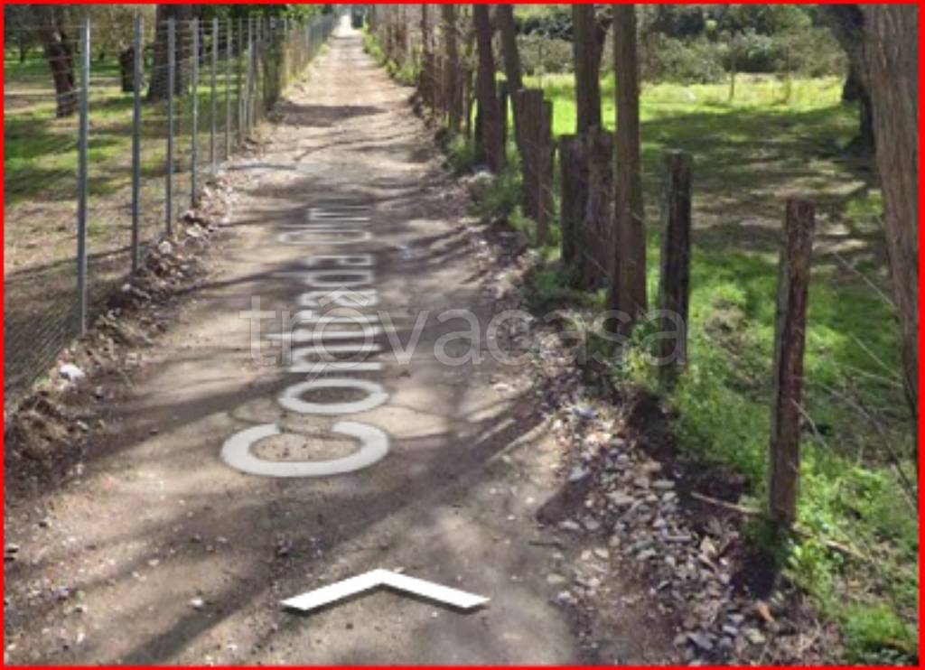 immagine annuncio 9 di 12