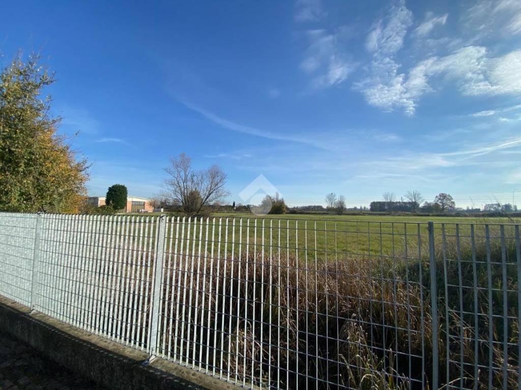 immagine annuncio 1 di 8