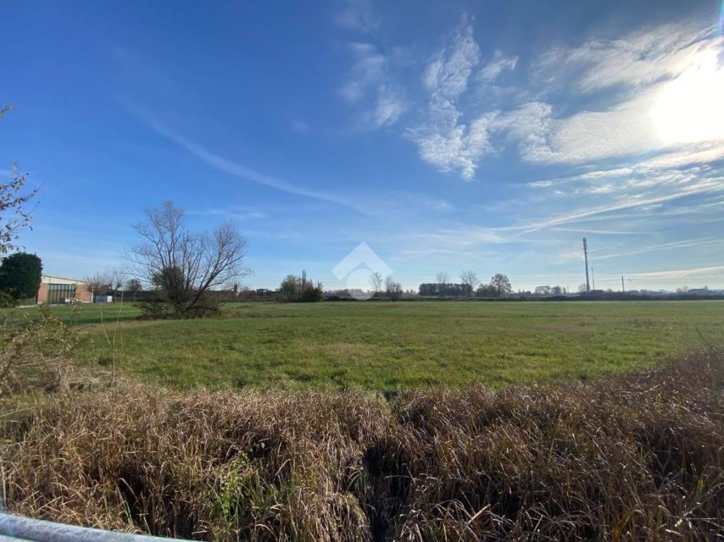 immagine annuncio 2 di 8