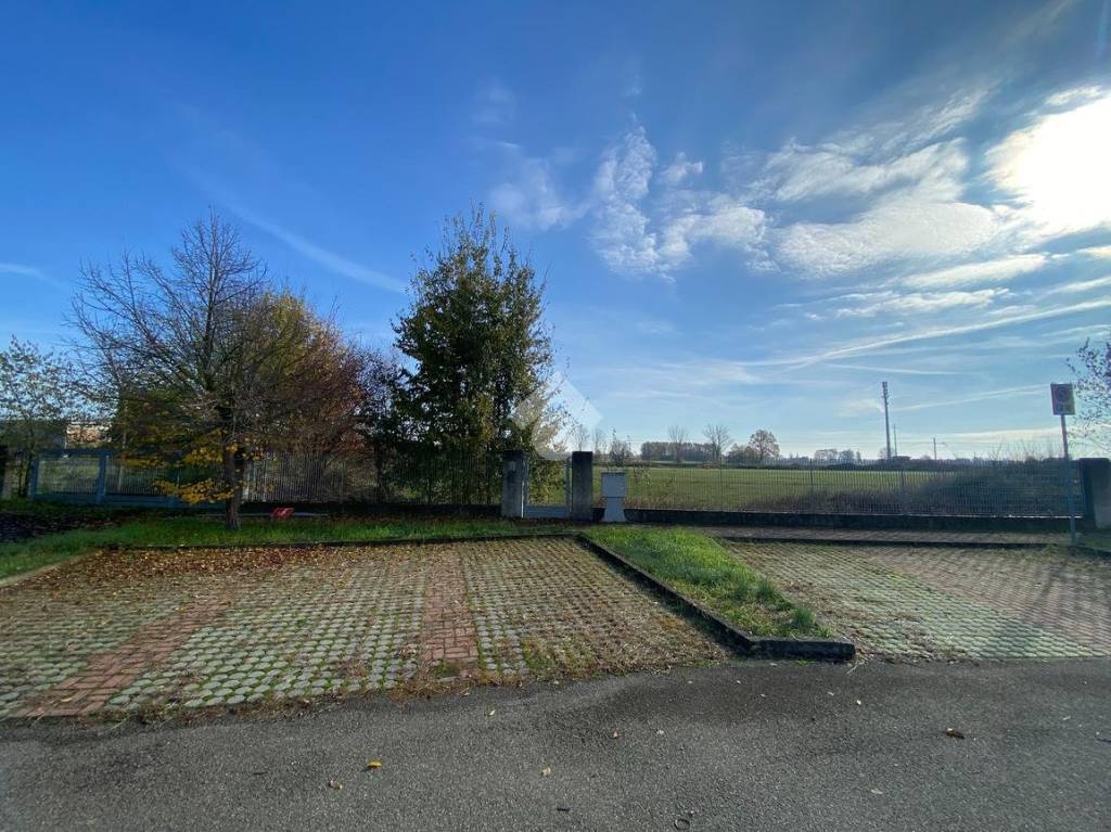 immagine annuncio 3 di 8