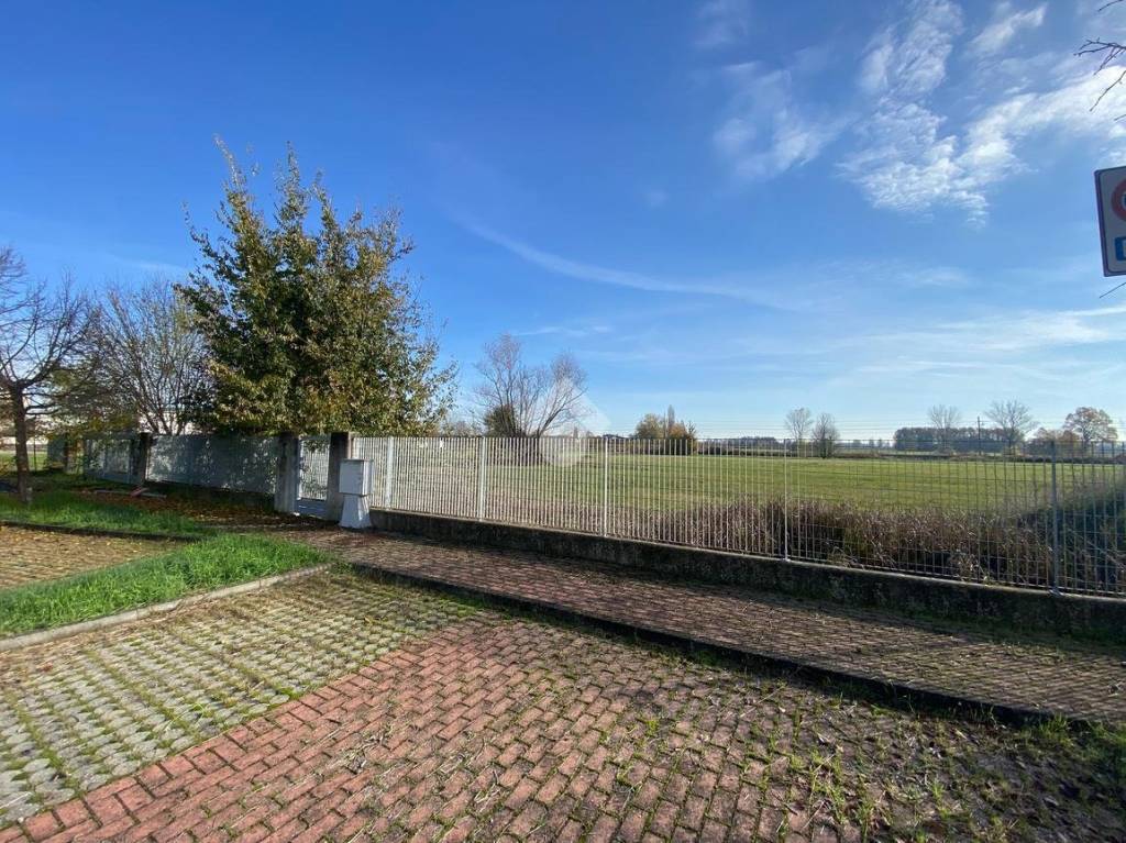 immagine annuncio 4 di 8