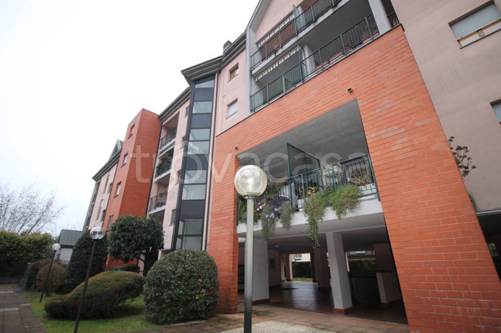 immagine annuncio 2 di 15