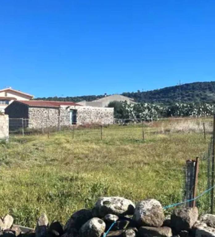 immagine annuncio 6 di 11