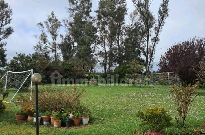 immagine annuncio 3 di 14