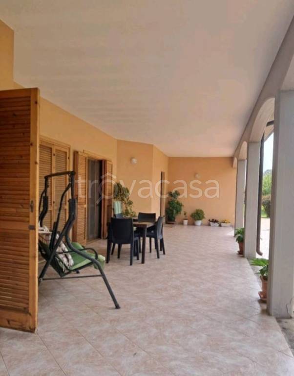 immagine annuncio 4 di 14