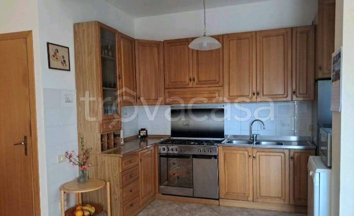 immagine annuncio 9 di 14