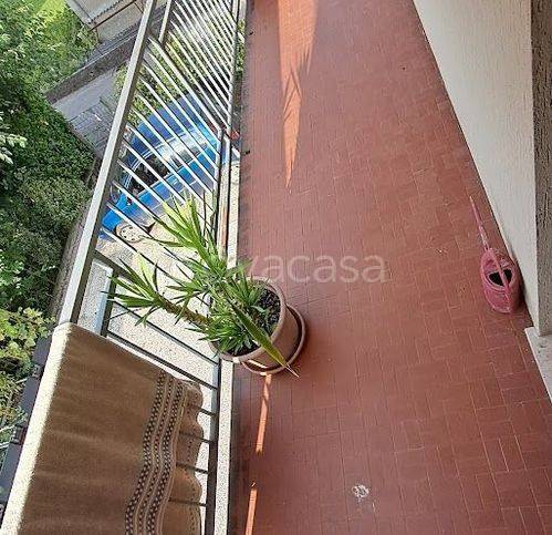 immagine annuncio 9 di 14