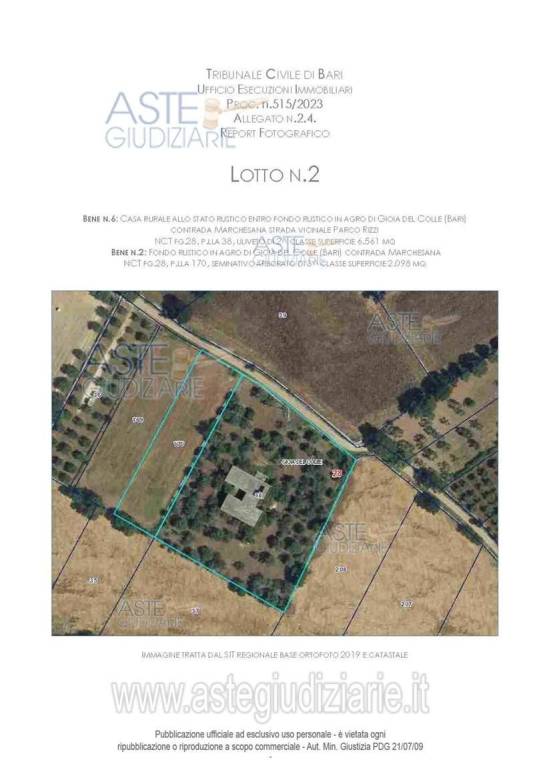 immagine annuncio 5 di 15