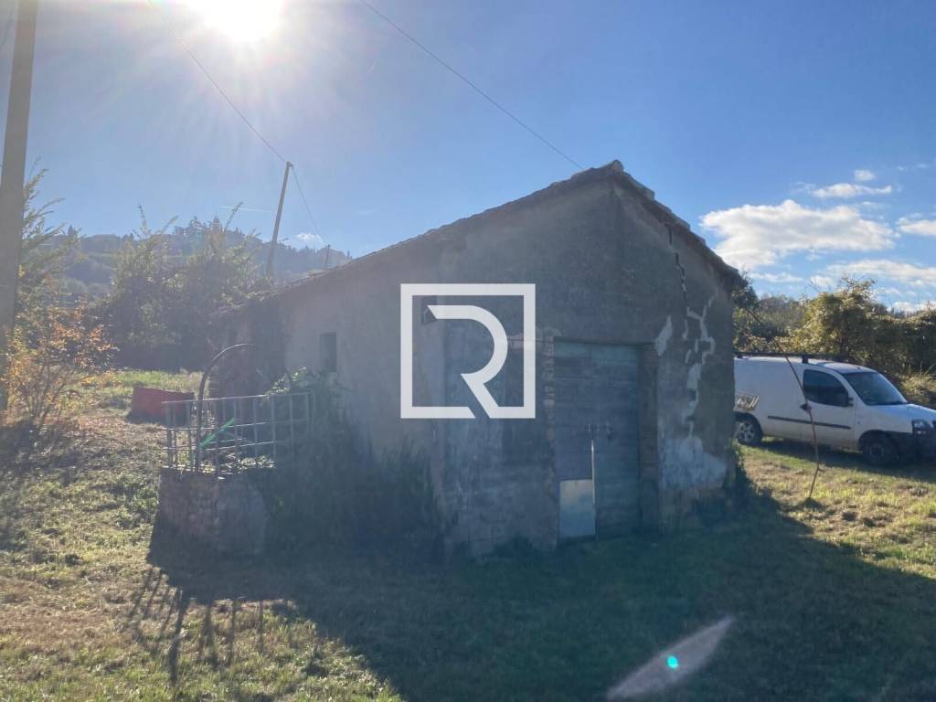 immagine annuncio 5 di 11