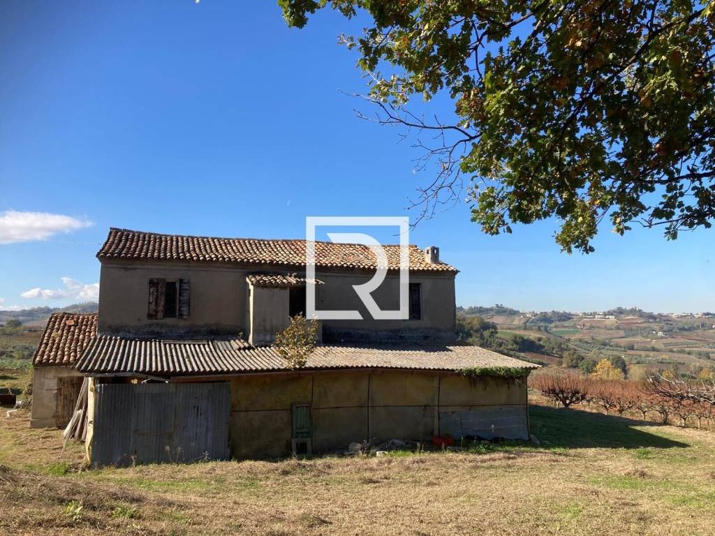 immagine annuncio 7 di 11