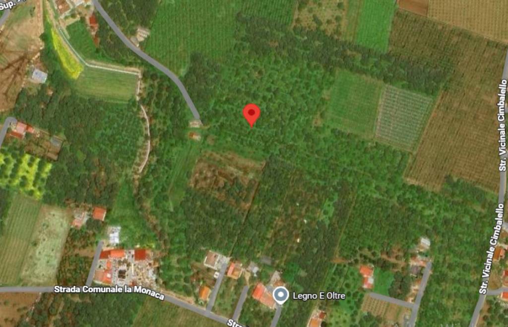 immagine annuncio 2 di 14