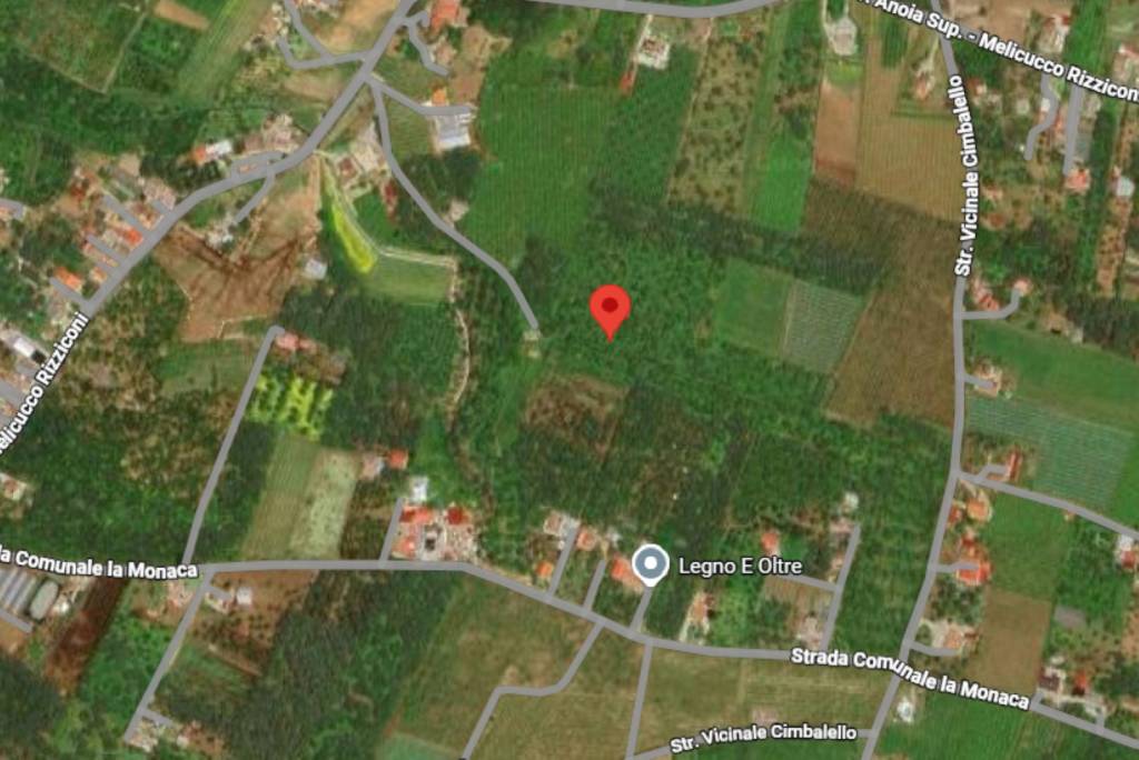 immagine annuncio 3 di 14