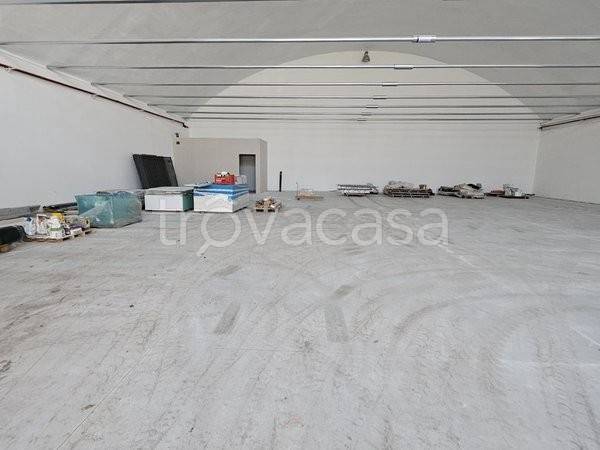 immagine annuncio 3 di 6