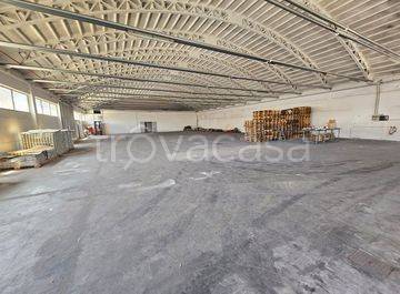 immagine annuncio 4 di 6