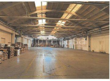 immagine annuncio 5 di 6