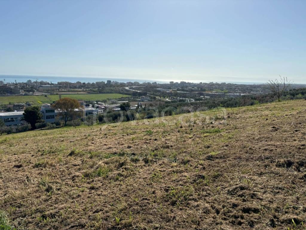 immagine annuncio 1 di 6