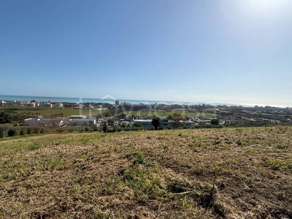 immagine annuncio 3 di 6