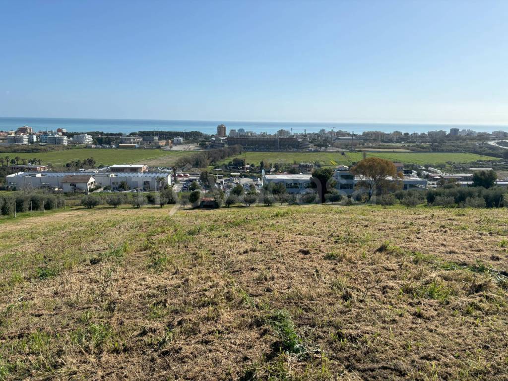 immagine annuncio 5 di 6