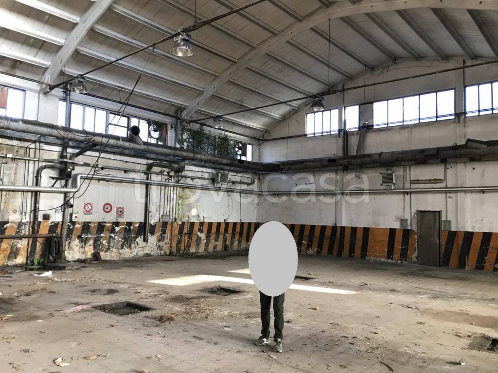 immagine annuncio 8 di 12