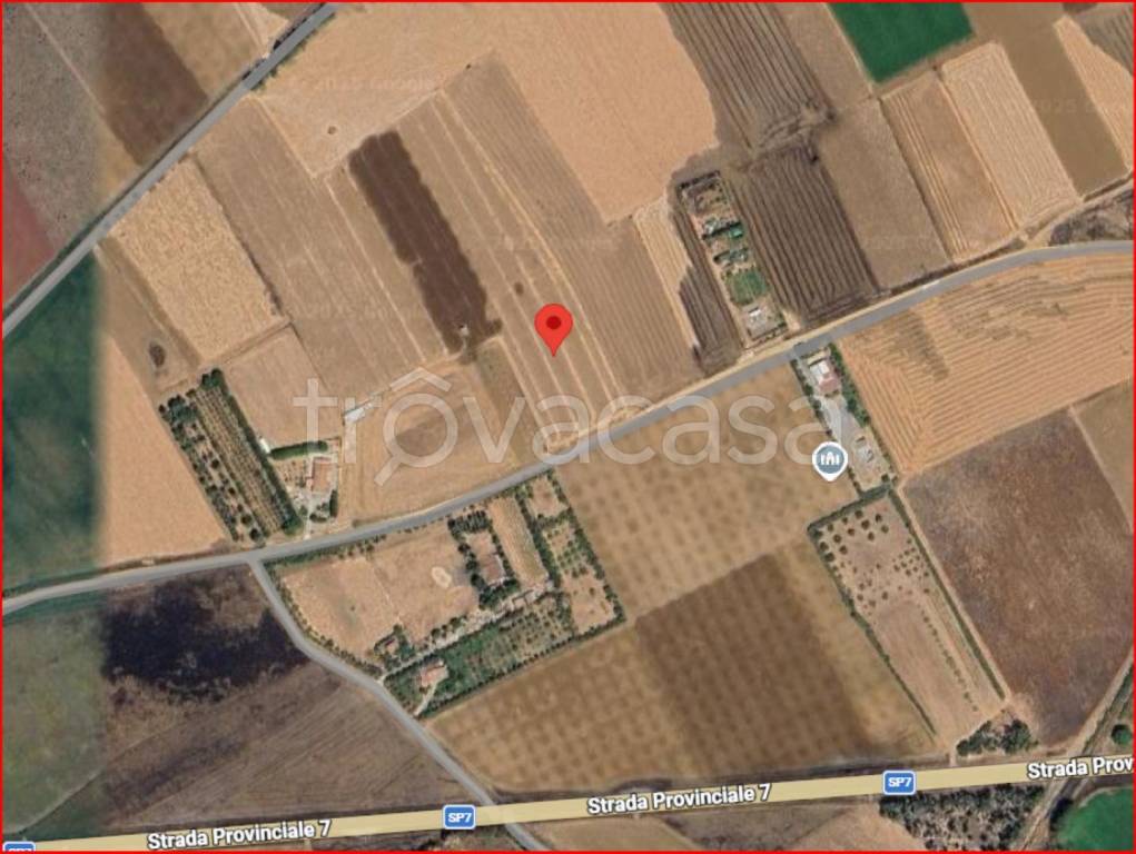 immagine annuncio 11 di 12