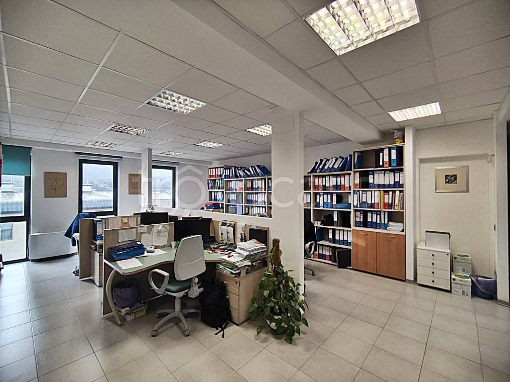 immagine annuncio 5 di 11