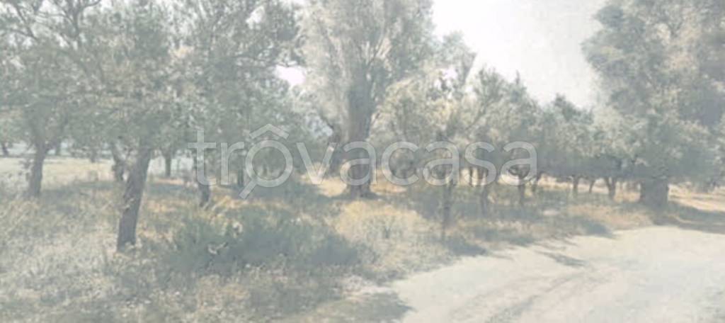 immagine annuncio 4 di 7